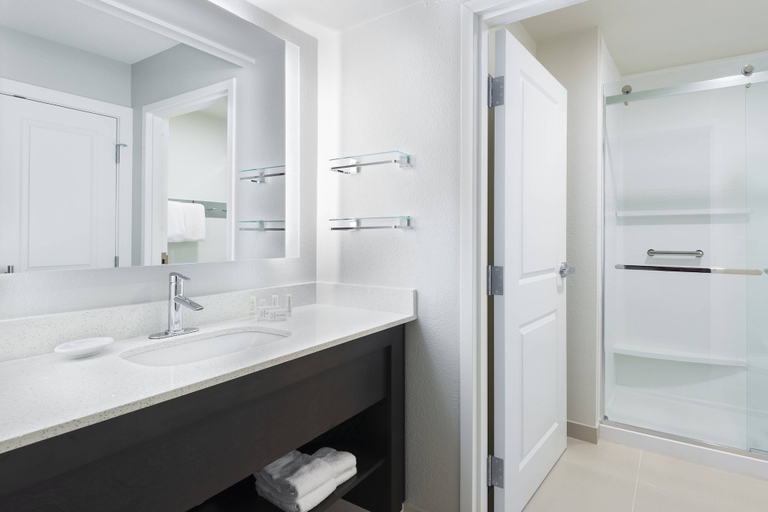 Bathroom 4, Residence Inn by Marriott Tampa Sabal Park/Brandon, Hillsborough