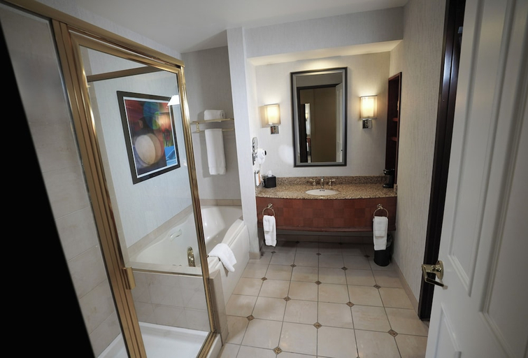Bathroom 4, Ameristar Casino Hotel East Chicago, Lake