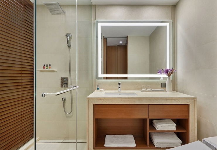 Bathroom 4, Hotel Skypark Central Seoul Pangyo, Seongnam