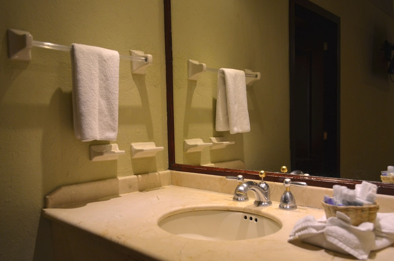 Bathroom, HG Hotel, Zapopan