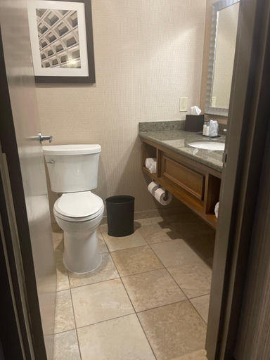 Bathroom 4, The Grand Laurel Hotel - Philadelphia, Burlington