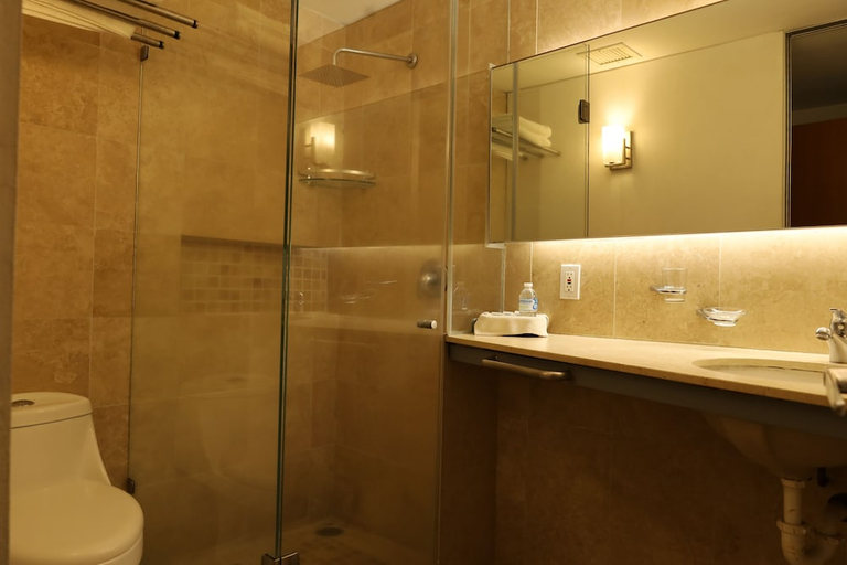 Bathroom 3, SPORT ARISTOS HOTEL BOUTIQUE, Mexico City