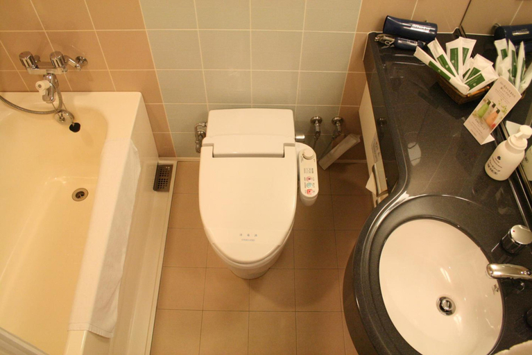 Bathroom 3, Okayama International Hotel, Okayama