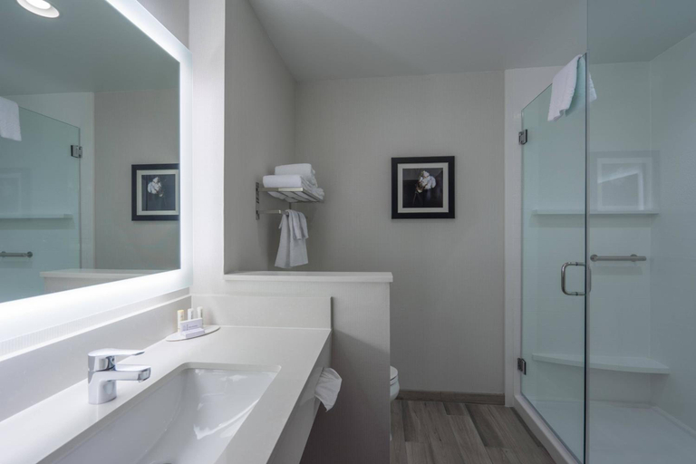 Bathroom 4, Fairfield Inn & Suites Lubbock Southwest, Lubbock