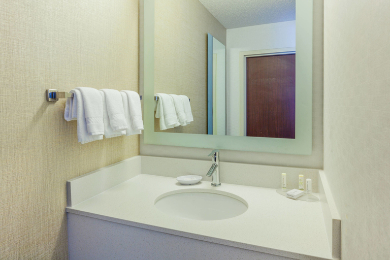 Bathroom 4, Springhill Suites Minneapolis St Louis Park by Marriott, Hennepin