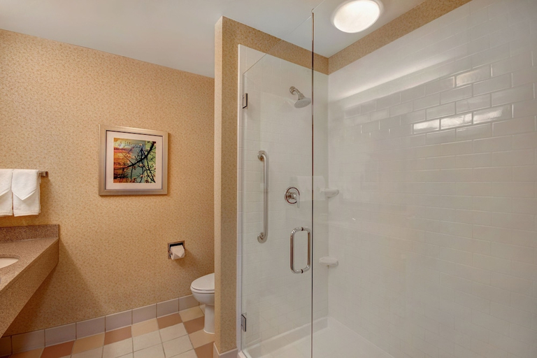 Bathroom 4, Fairfield Inn & Suites By Marriott Romulus, Wayne