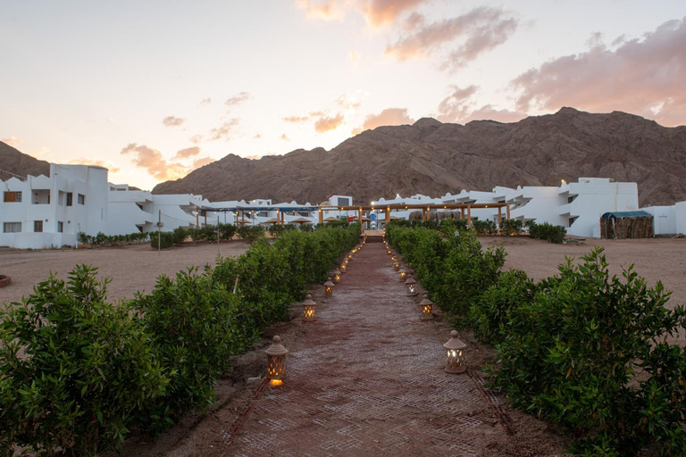 Others 2, Golden Heights Dahab Resort, Dahab