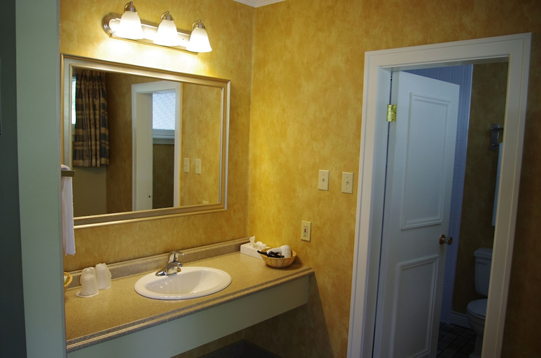 Bathroom, Silver Dart Lodge, Victoria