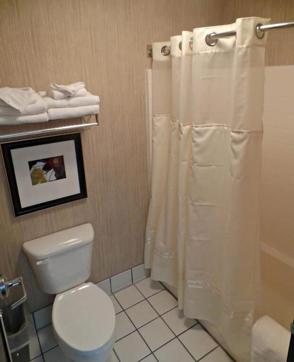 Bathroom 5, Phoenix Inn Suites - Albany, Linn