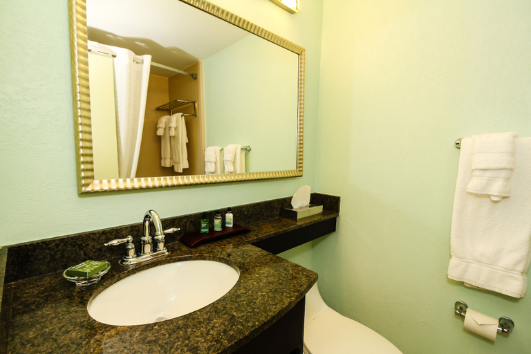 Bathroom 4, Treasure Island Hotel and Marina, Pinellas