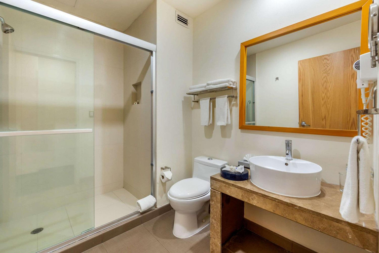 Bathroom 4, Hotel Torreon, Torreón