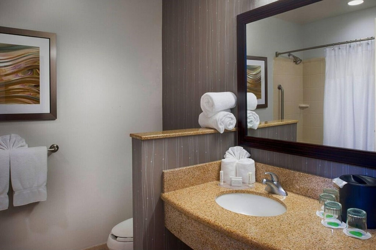 Bathroom 5, Courtyard by Marriott Collierville, Shelby
