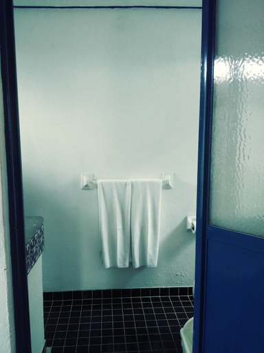 Bathroom 3, Posada Del Cafeto, Coatepec