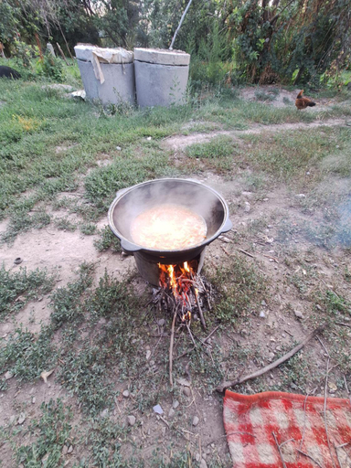 Others 4, Бурана уютныи дом, Chui