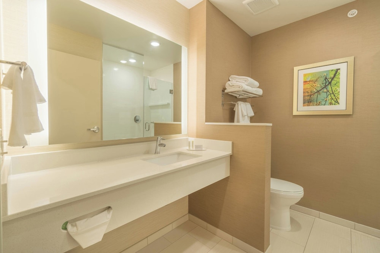 Bathroom 3, Fairfield Inn Suites Gaylord, Otsego