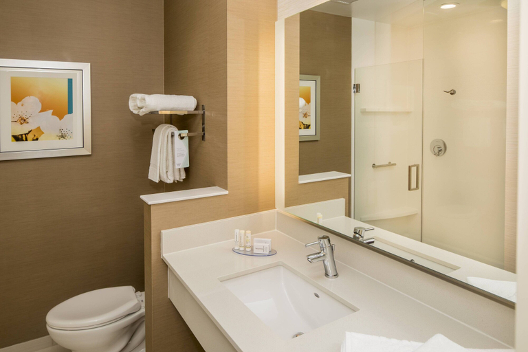 Bathroom 4, Fairfield Inn & Suites by Marriott Pittsburgh North/McCandless Crossing, Allegheny