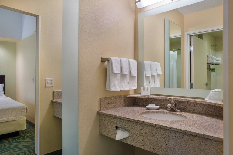 Bathroom 3, SpringHill Suites by Marriott St. Petersburg Clearwater, Pinellas