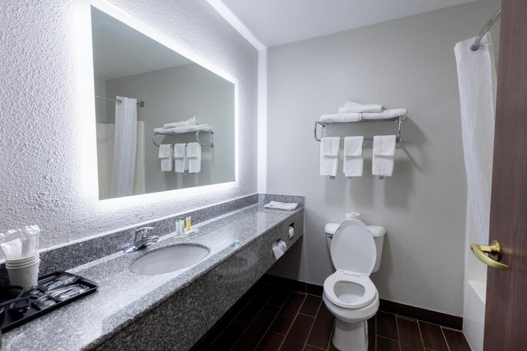 Bathroom 3, Countryside Inn & Suites, Brown