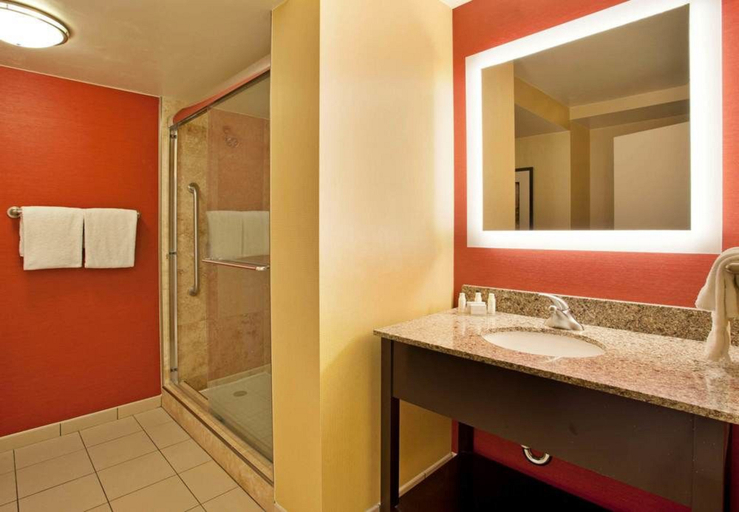 Bathroom 4, Courtyard By Marriott Vanderbilt-West End, Davidson