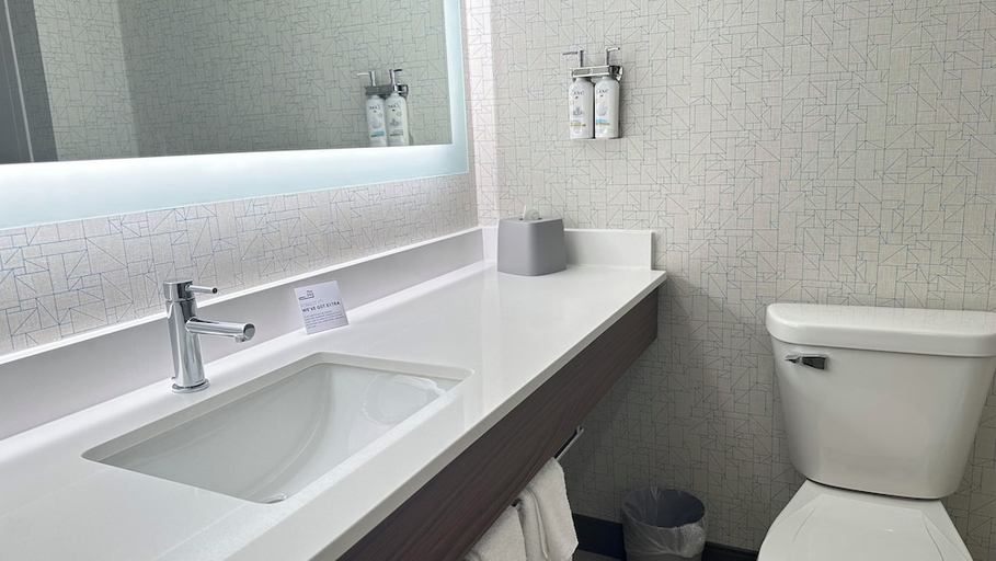 Bathroom 4, Holiday Inn Express & Suites PROSPECT HEIGHTS by IHG, Cook