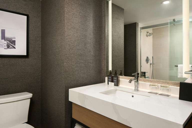 Bathroom 4, Sheraton Baltimore North Hotel, Baltimore