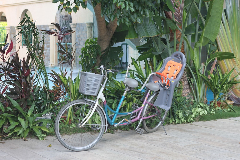 Others 3, SHENGYI HOLIDAY VILLA HOTEL, Sanya
