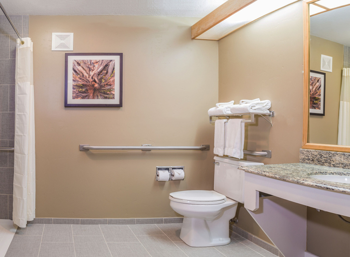 Bathroom 4, Gray Wolf Inn & Suites, Gallatin