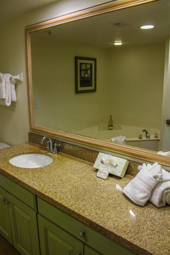 Bathroom 4, The Resort on Cocoa Beach, Brevard
