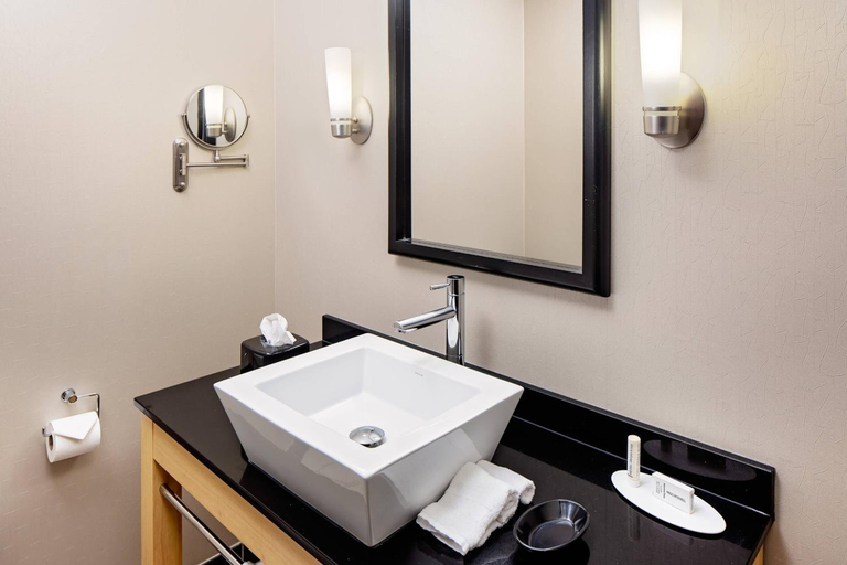 Bathroom 4, SpringHill Suites Green Bay, Brown