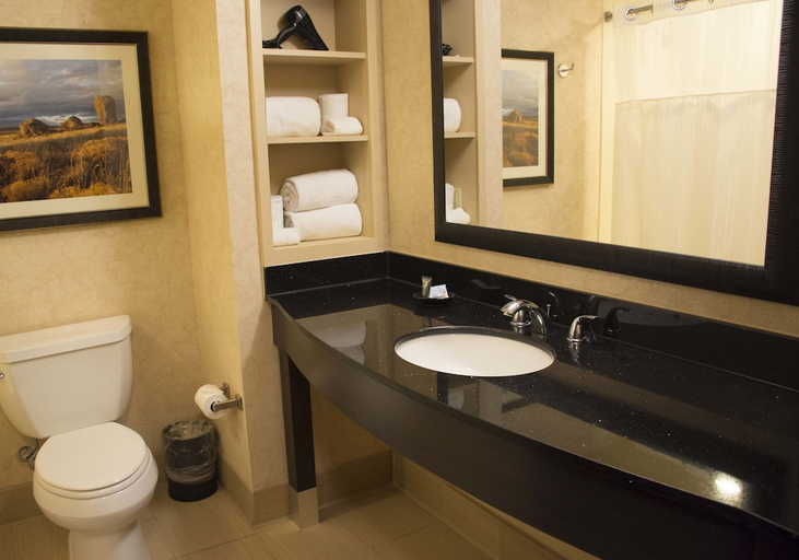 Bathroom 3, Zia Park Hotel, Lea