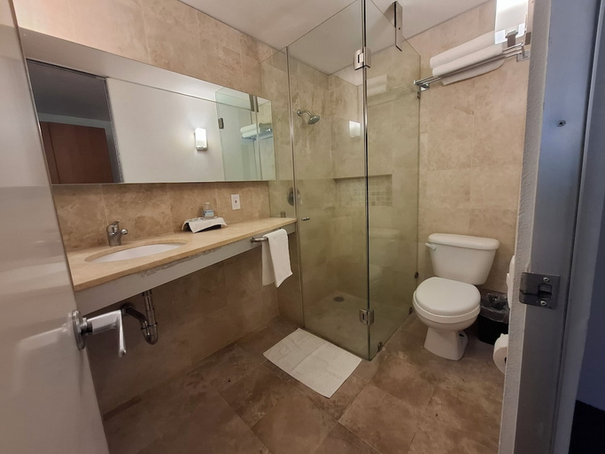 Bathroom 3, SPORT ARISTOS HOTEL BOUTIQUE, Mexico City