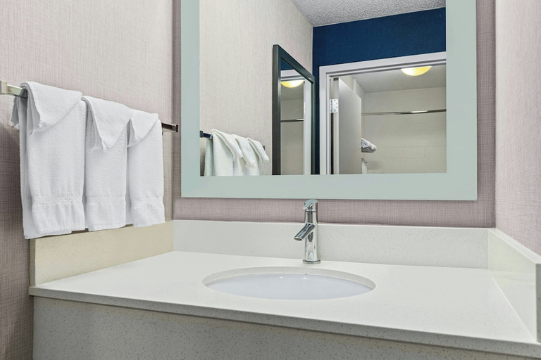 Bathroom 4, Springhill Suites Minneapolis St Louis Park by Marriott, Hennepin
