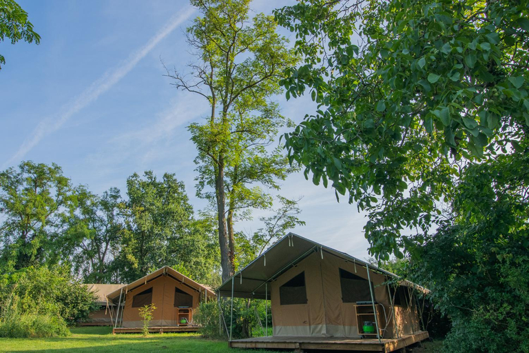 Others 3, Camping Onlycamp Vauban, Haut-Rhin