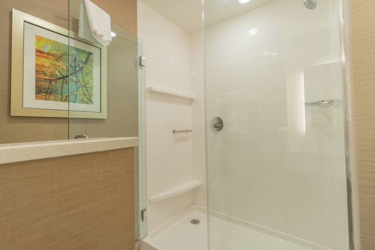 Bathroom 3, Fairfield Inn Suites Gaylord, Otsego
