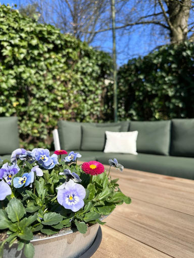 Others 3, Berg en Bos Suite met luxe jacuzzi, Apeldoorn