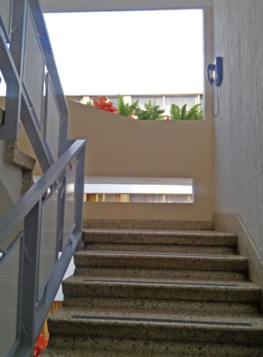 Others 4, Hotel Senorial, Mexico City