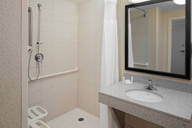 Bathroom 4, Fairfield Inn & Suites By Marriott Romulus, Wayne