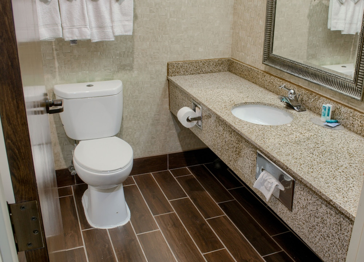 Bathroom 4, Hometown Inn Thomasville, Clarke