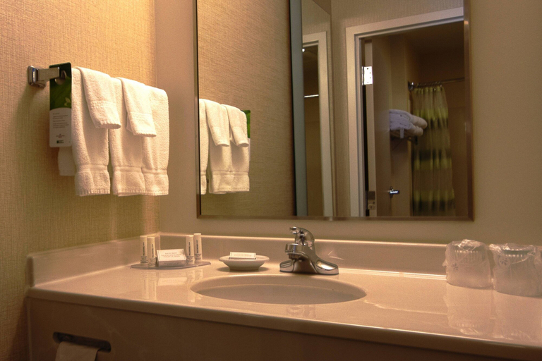 Bathroom 5, SpringHill Suites by Marriott Hershey Near the Park, Dauphin