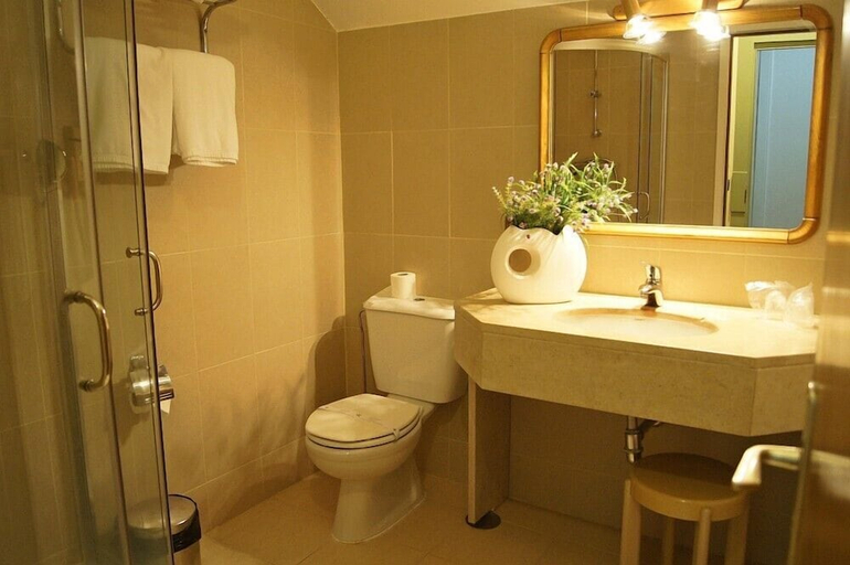 Bathroom 5, Palace Hotel & Spa Termas de São Vicente, Penafiel