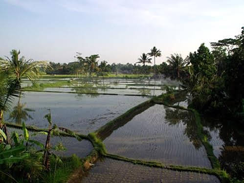 Others 3, Villa Capung Mas, Gianyar