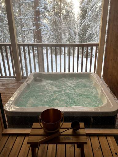 Sport & Beauty 3, NOA VILLAS Aurora Lapland Resort, Lapland