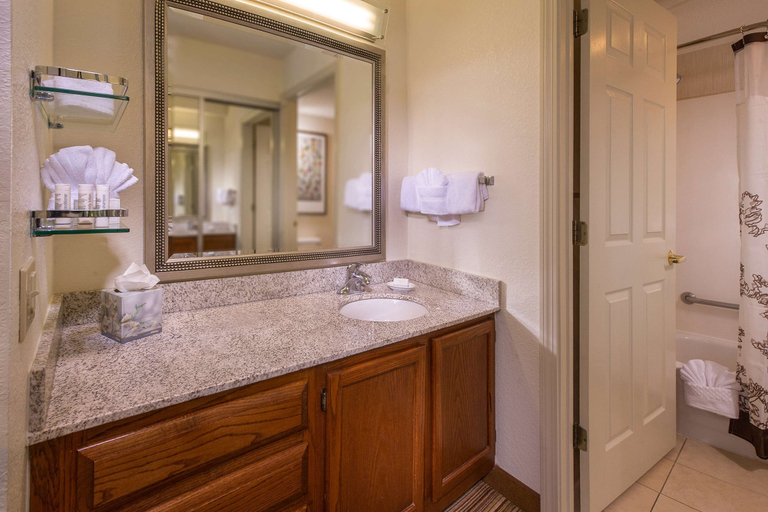 Bathroom 4, Sonesta ES Suites Charlottesville University, Charlottesville