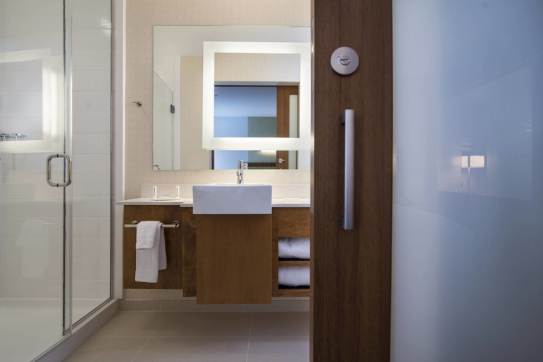 Bathroom 3, SpringHill Suites Wisconsin Dells, Sauk