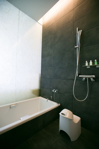Bathroom 5, THE MEIBIA MIYAZAKI, Miyazaki