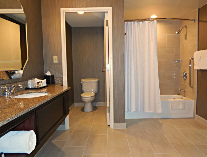 Bathroom 4, Sheraton Suites Galleria-Atlanta, Cobb