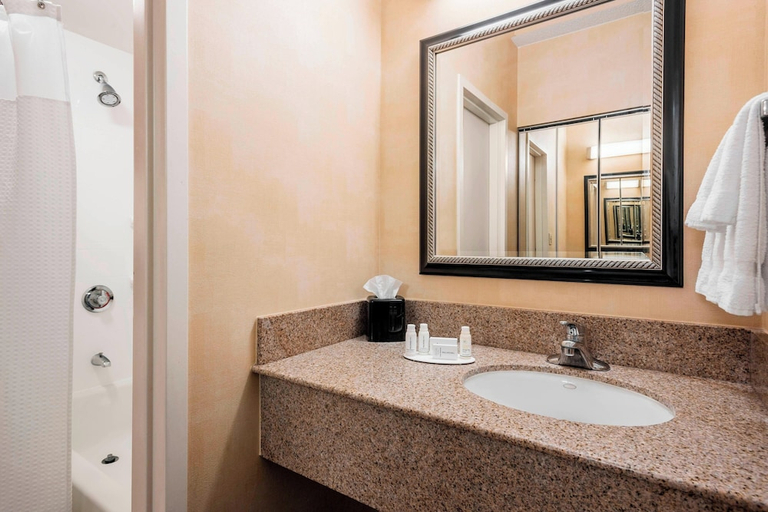 Bathroom 4, Courtyard Chicago O'Hare, Cook
