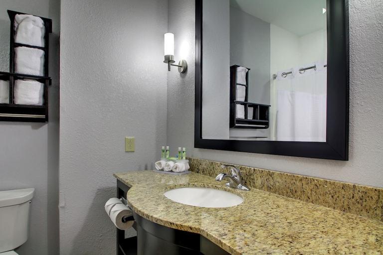 Bathroom 4, Holiday Inn Express & Suites NATCHEZ SOUTH by IHG, Adams