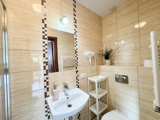 Bathroom 3, Pokoje i apartamenty Ferencowka Bieszczady, Lesko