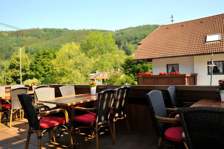 Food & Drinks 4, Gasthof Zum Schutzen, Emmendingen